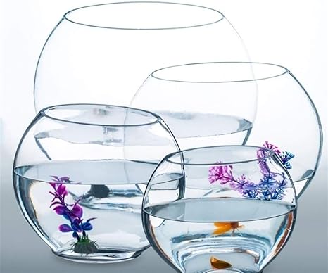 Amazon Co Jp 調達ベタ 小型冷水魚 金魚 ホームデコレーションアクセサリーに適しデスクガラスフラット口水槽ボウル クリエイティブ 小魚水族館生態系 サイズ H 18cm W 23cm ホーム キッチン