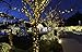 Solarmks Solar String Lights 200 LED Outdoor String Lights 8 Modes Deorative Outdoor Lighting for Garden Patio Lawn Christmas(Warm White)