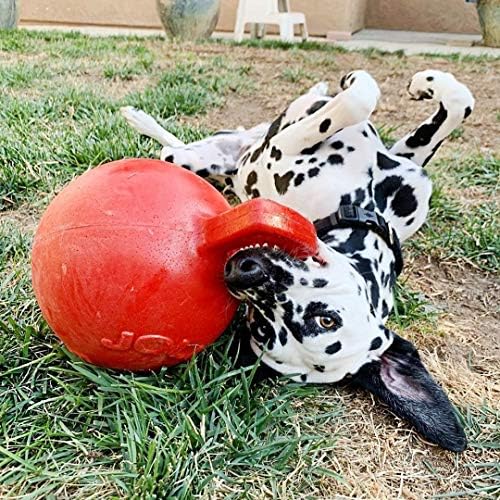 dog ball with handle