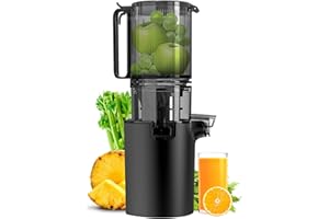CANOLY Masticating Juicer Machines, 4.8-inch Slow Cold Press Juicer with Larger Feed Chute, Pure Juicer for Vegetables & Fruits, Easy to Clean