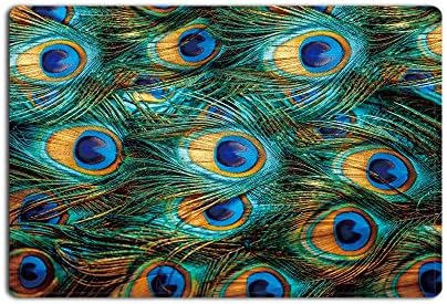 Cloud Dream Natural Peacock Tail Feathers with Eyes Theme Print Indoor/Outdoor Decor Rug Doormat 23.6 x 15.7inch