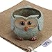 UName Micro Landscape Succulent Plants Creative Flower Planters, Mini Plants Pot, Ceramics Decoration, Handmade, Small Plant Containers, Owl Design Succulent Planter. Green.(circle eye owl)UN235
