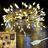 String Lights, LISOPO 8.25Ft /100 LEDs USB Powered Waterproof Photo Clip Fairy Starry Lights Led Valentine String Lights Valentine's day Decoration for Party, Christmas, Garden, Xmas (Warm White)