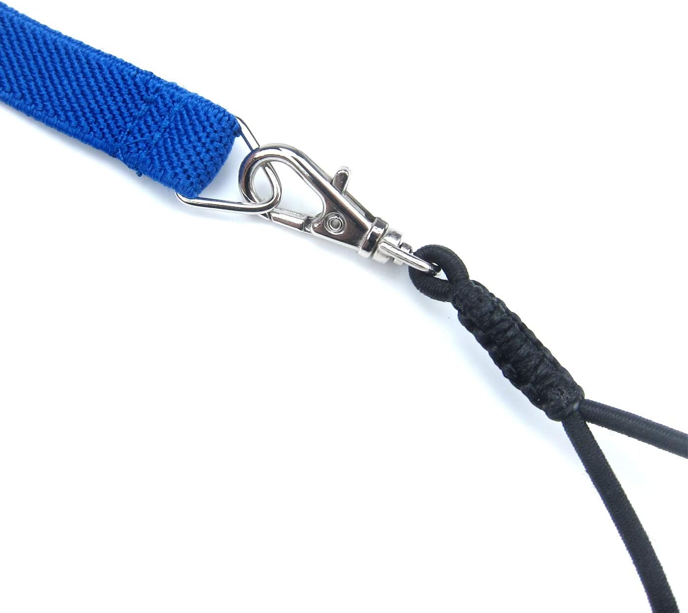 bird harnesses and leashes