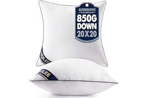 MIULEE 20x20 Pillow Inserts Set of 2 Throw Pillows 20 Inch Premium Down Alternative Pillow Inserts Decorative Pillow Stuffer for Sofa, Couch (20x20 inch, Set of 2)