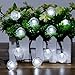 SKYFIRE Waterproof Solar Outdoor String Lights 19.7 ft 30 LED White Crystal Ball Christmas Globe Light