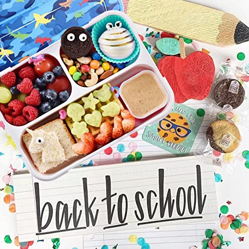 3D Shark Lunch Box Kids Bento Box Insulated Lunch Bag with Ice Pack Water Bottle Silicon Cap Spoon Salad Container Durable Water-Resistant Back to School Supplies for Ideal Boys Age 7-12