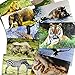 Stages Learning Materials Toddler Education Wild Animal Posters for Class Real Photo Decor for Preschool Bulletin Boards & Circle Time 9 Large Picture Cards
