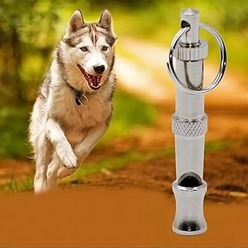 Petlicious & More Dog Pet Stainless Steel Portable and Adjustable Sound Key Training Whistle