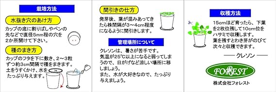 Amazon フォレスト カップサラダ クレソン おうちが菜園 種まきセット 栽培キット Diy 工具 ガーデン