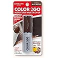Absolute New York Color 2 Go - Instant Root Touch Up Hair Stick (HCHS03 Black Brown, .21 oz)