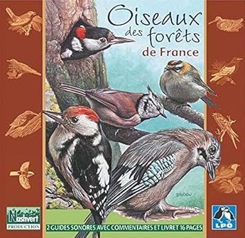 Oiseaux Des Forets De France 2 Cd Fernand Deroussen Amazon Fr Musique