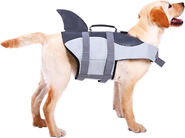xs dog life jacket