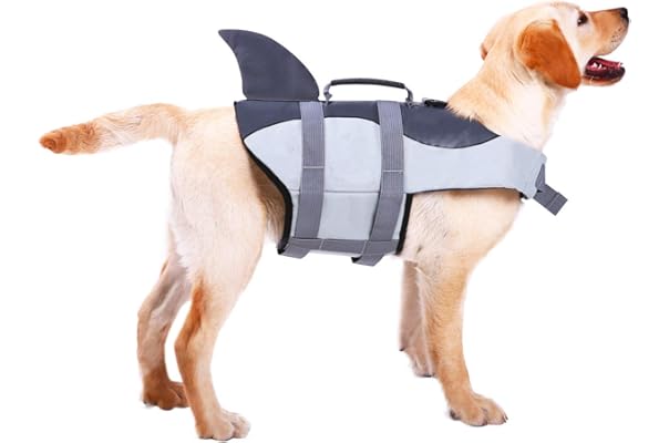 dog water jacket