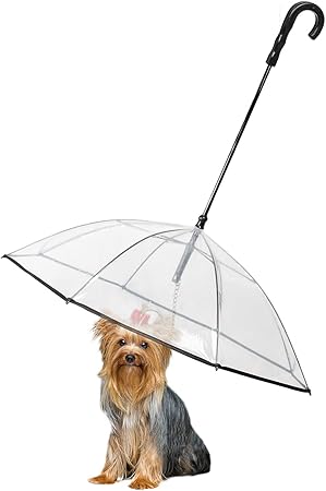 small dog umbrella