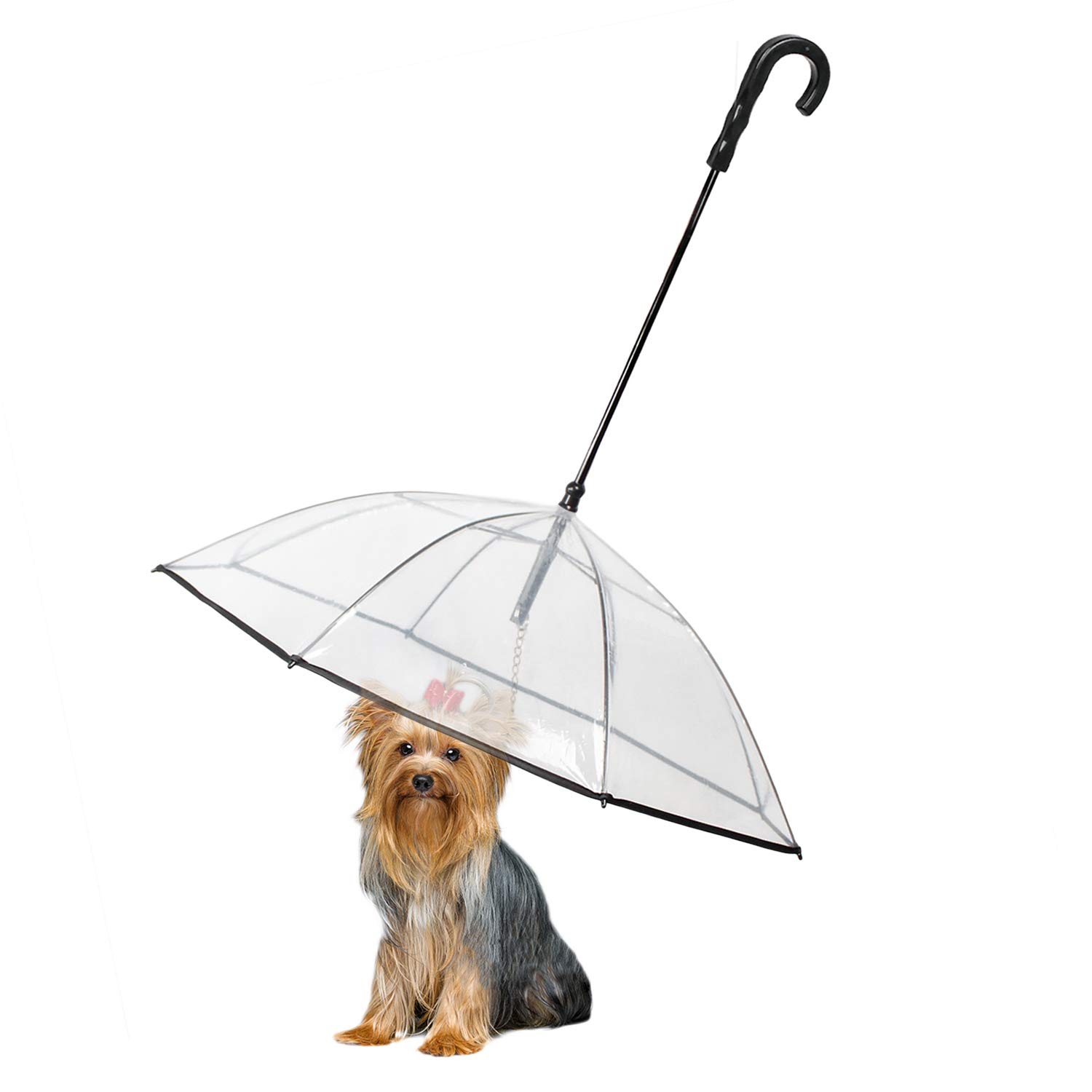 Photo 1 of **MISSING THE HANDLE** Enjoying Dog Umbrella for Small Dogs, Clear Dog Umbrella Leash, Rainproof Waterproof, Doggy Walking Umbrella with Metal Chain, Pet Outdoor Rain Gear