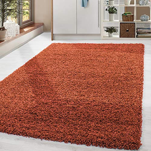 HomebyHome Shaggy Hochflor Teppich, 140x200 cm, Terrakotta, weich, flauschig, modern, einfarbig, Vielseitig einsetzbar im Wohnbereich, für Wohnzimmer
