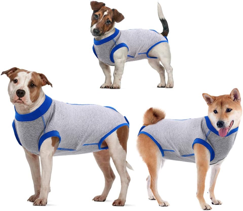 IDOMIK Recovery Suit for Dogs After Surgery, Recovery