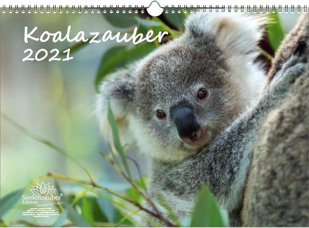 Koalazauber Calendrier 2021 Format A3 Pour Koala 2021 Coffret Cadeau Comprenant 1 Calendrier 1 Carte De VÅ