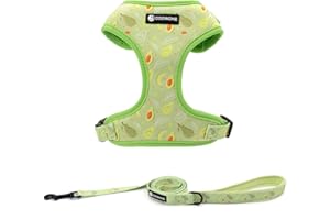 COOWONE Dog Harness and Leash Set, Adjustable Dog Harness, Dog Leash, No Pull No Choke Puppy Harnesses for Walking Training for Small Medium Pet