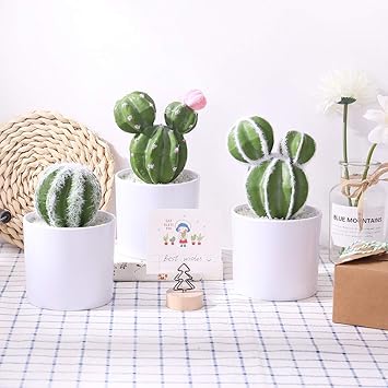 Amazon Yiliyajia 人工植物 多肉植物 サボテン 花瓶付き フェイクサボテン 鉢付き ホームデコレーション用 3パック 人工観葉植物 オンライン通販