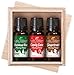 Home for the Holidays - Holiday Blend 3 Essential Oil Gift Set. (Includes: Christmas Tree, Candy Cane, Gingerbread) 100% Pure, Undiluted, Therapeutic Grade.
