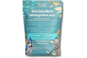 Blue Jay Bird Food – Chirp & Maple Blue Jays Blend, Premium Bird Seed with Peanuts, Corn & Sunflower, Feed for Jays, Steller'