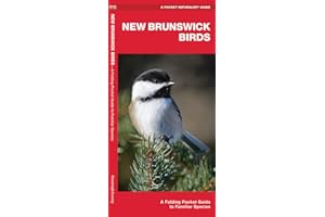 New Brunswick Birds