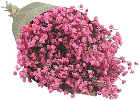 Amazon ファッションジプソフィラ花 人工偽の美しい花のホームパーティーの結婚式の装飾 赤ちゃんの息の家の装飾自然なドライフラワー ピンク プリザーブドフラワー オンライン通販