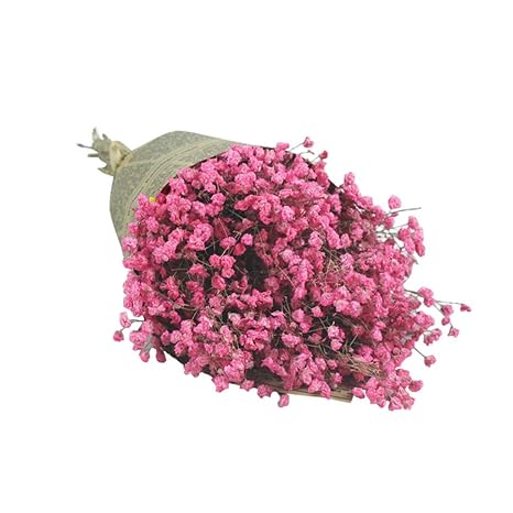 Bouquet De Fleurs Séchées Naturelles Ya Uzeun Fleurs