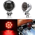 FUKWUNTO Motorcycle Tail Light LED Retro Red Brake Light Rear Brake Tail Light for ATV Cafe Racer Bobber Chopper cruiser Stop Light (Silver Black)
