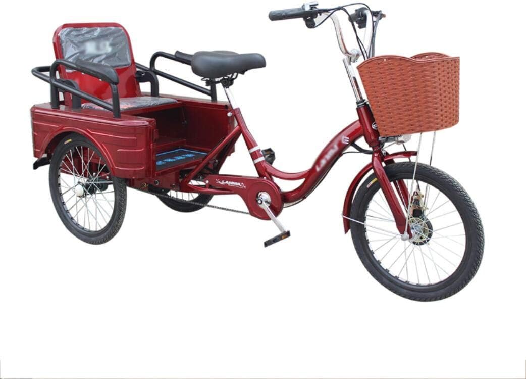 Dreirad Elektrofahrrad 3RadFahrrad 48V12AH