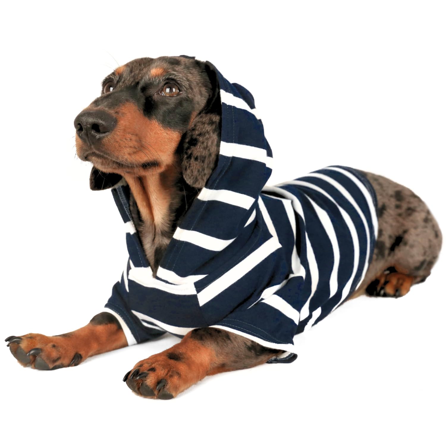 DJANGO Dog Hoodie – Warm, Lightweight, Soft & Stretchy Dog Sweater with Hood, Harness Hole & Elastic Waistband – Cozy Sweatshirt for Small Dogs up to 25 lbs, Dachshunds & Puppies – Navy Blue, Medium