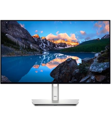 Amazon.com: Dell UltraSharp 24 Monitor - U2424H, FHD 1080p