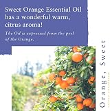 Absolute Aromas Sweet Orange Essential Oil 10 ml Pure Undiluted Vegan view 2