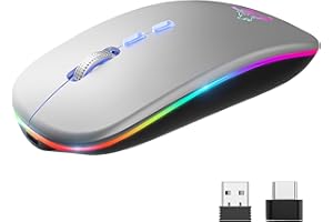 HOTLIFE LED Wireless Mouse, Slim Rechargeable Silent Bluetooth Mouse, Portable USB Optical 2.4G Wireless Bluetooth Two Mode Computer Mice with USB Receiver and Type C Adapter(Silver)