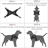 FYY No Pull Dog Harness Breathable Adjustable Vest Reflective M Blue view 6