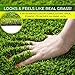 Imozel Premium Outdoor Artificial Lawn and Turf Grass 7.5'x10' - Decorative Synthetic Astroturf Grass Mats - Realistic Looking and Feeling, Weatherproof - for Landscaping, Homes, Businesses, Dogs