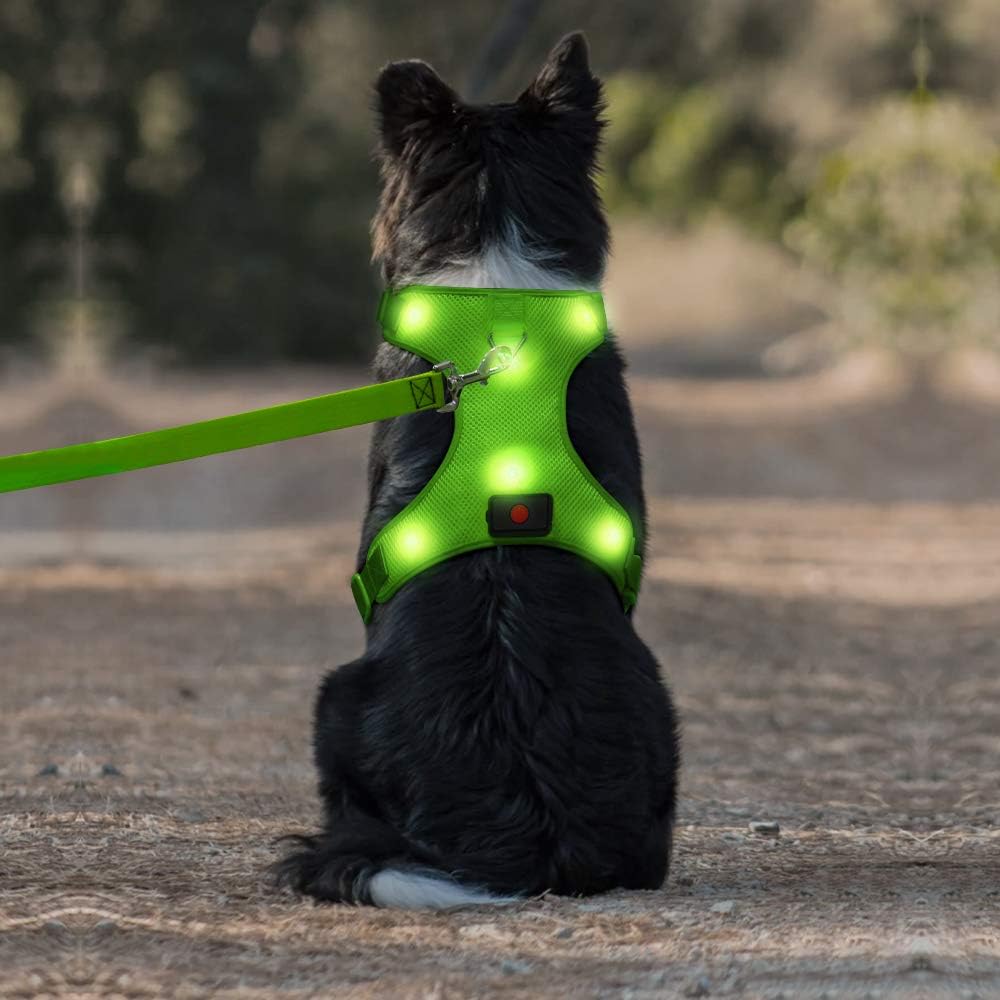 DOMIGLOW Safety LED Dog Harness - Easy Control No Pull Light Up Dog Vest - USB Rechargeable Glowing Dog Harness Perfect for Night Walking & Camping (Green, M)