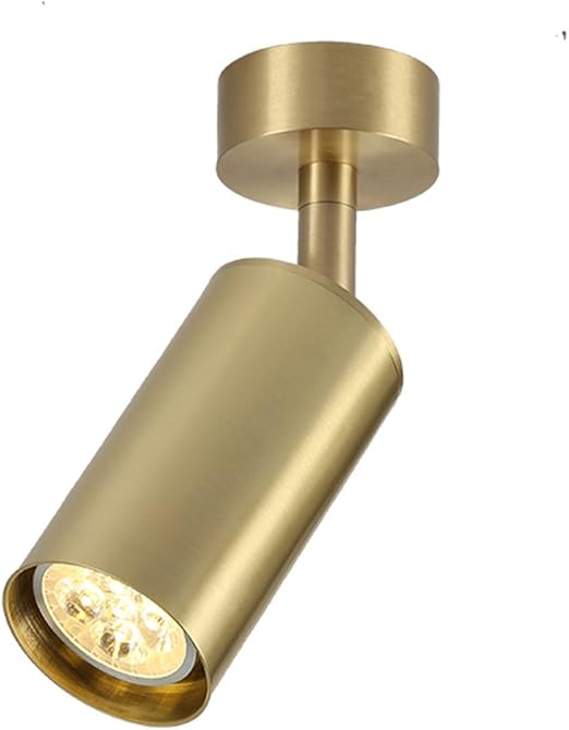 Waineg Brushed Brass Spotlights LED Living Room Wall Downlight