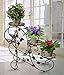 3-Tiered Metal Plant Stand Flower Pot Rack Garden Patio Standing Plant Display Stand, Bronzethumb 1