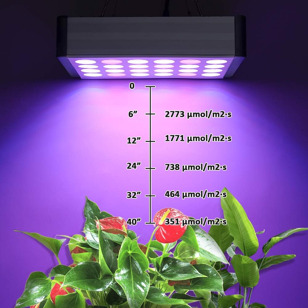 1600w Plant Grow Lamp With 216pcs 8w Led Chips Veg Bloom Dimmer Switch And Daisy Chain For Greenhouse Indoor Plants Veg Flower Fcc Ce Rohs And Pse Certification Bozily Full Spectrum Led Grow Light Gardening Patio Lawn