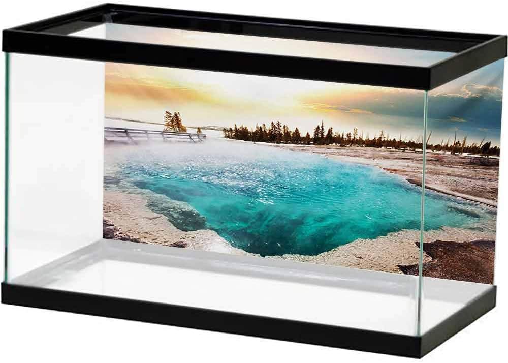 bybyhome Image Decor Yellow,Victorian Style Antique Pattern with Ornamental Flourish Vintage Design Illustration,Marigold with Sticker on The Backside