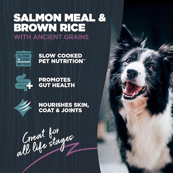 BLACKWOOD SENSITIVE SKIN & STOMACH DRY DOG FOOD, SALMON MEAL & BROWN RICE WITH ANCIENT GRAINS, 4.5 POUND BAG WITH PREBIOTICS & PROBIOTICS TO PROMOTE GUT HEALTH