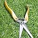 Pruning Shears Straight Tip Pruning Trimming Scissors Florist Scissors-Stainless Steel Ultra Sharp Multi-Purpose Hand Pruner Scissors for Garden Harvesting Fruits Vegetables, Trimming Flowers, Goldthumb 1