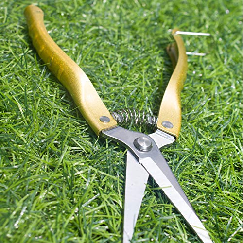 Pruning Shears Straight Tip Pruning Trimming Scissors Florist Scissors-Stainless Steel Ultra Sharp Multi-Purpose Hand Pruner Scissors for Garden Harvesting Fruits Vegetables, Trimming Flowers, Gold
