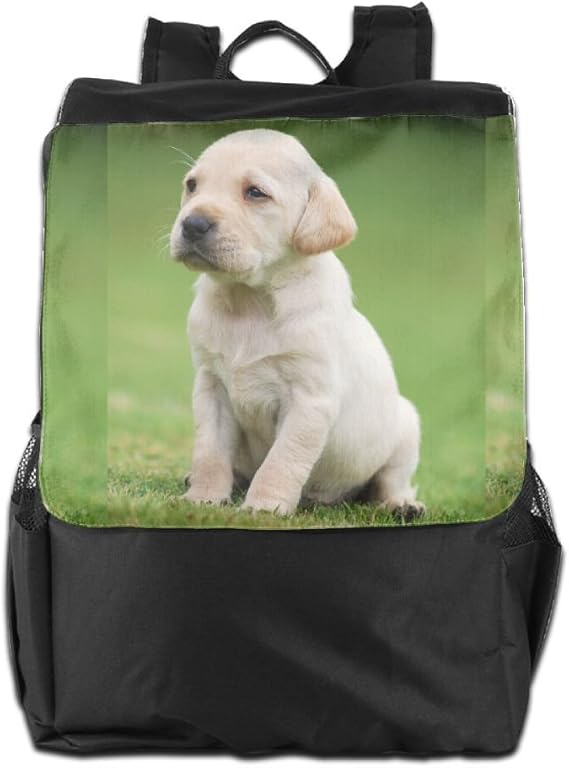 Arsmt Cute Labrador Dog.JPG Outdoor Backpack Rucksack Travel Bag