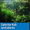 API-pH-DOWN-Freshwater-Aquarium-Water-pH-Reducing-Solution-118-ml-Bottle API pH UP Freshwater Aquarium Water pH Raising Solution 1.25-Ounce Bottle