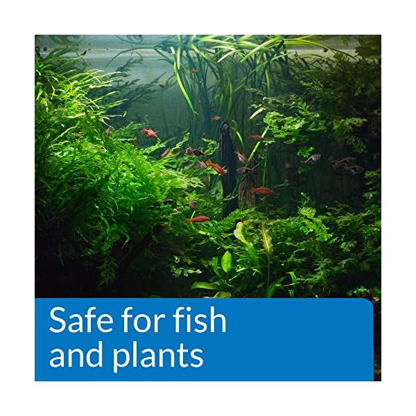 API-pH-DOWN-Freshwater-Aquarium-Water-pH-Reducing-Solution-118-ml-Bottle API pH UP Freshwater Aquarium Water pH Raising Solution 1.25-Ounce Bottle