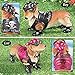 Collections Etc Dachshund Bikers Garden Figurine, Boy